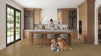 Taj Mahal countertop room inspiration; installation shown is illustrative