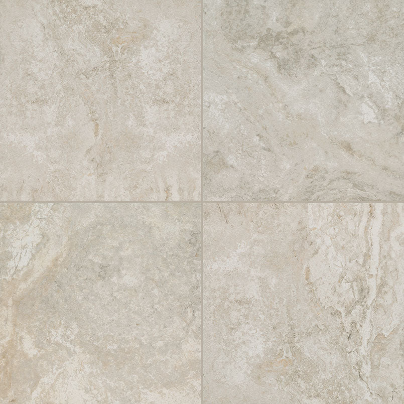Trevi Silver Porcelain Paver - product detail (representative)