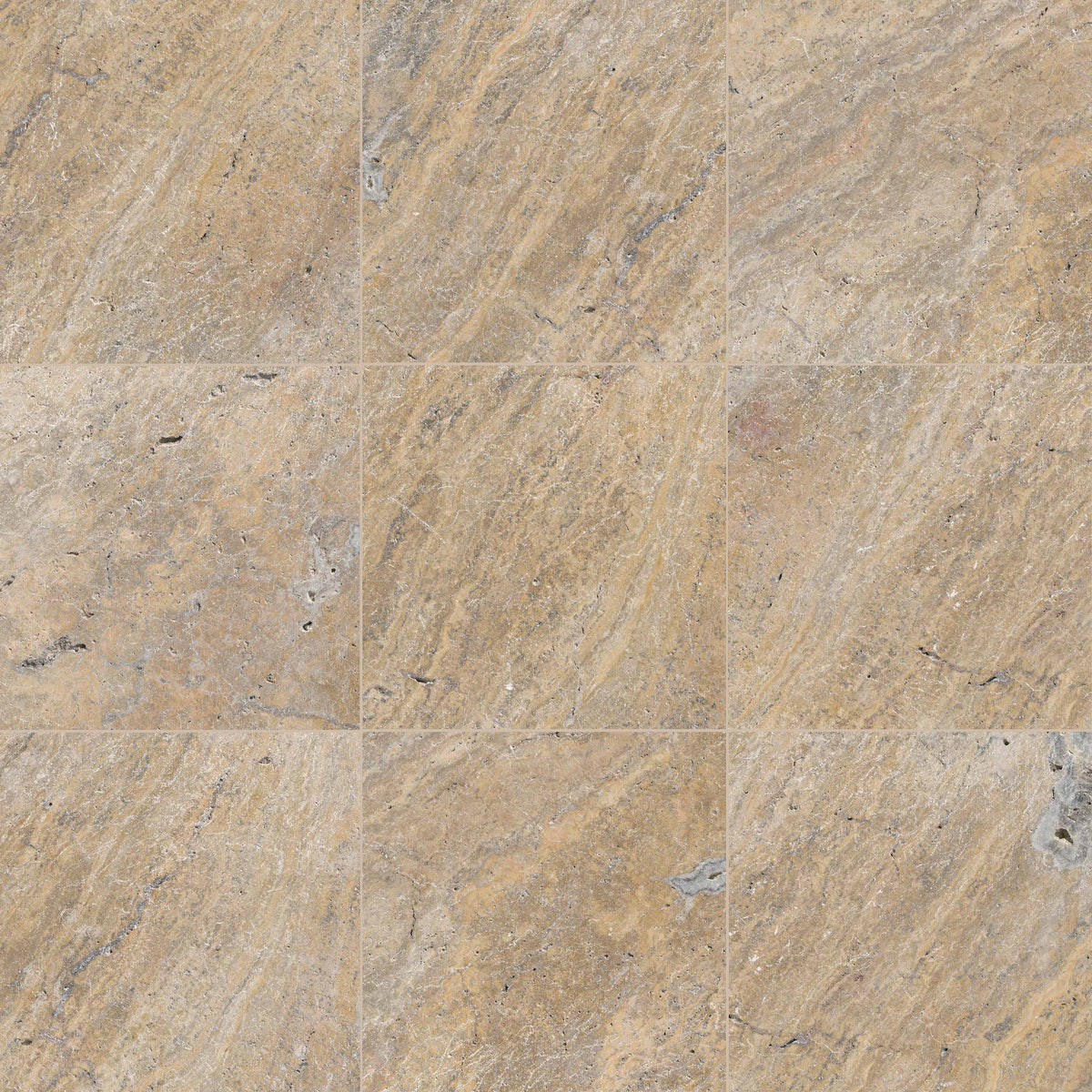 Tuscany Porcini Natural Stone Paver - product detail (representative)