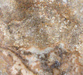 Tuscany Porcini Versailles Pattern Travertine Tile product view