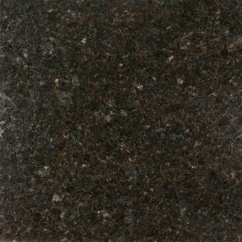 Ubatuba 12x12 Polished Granite Tile — clean product view