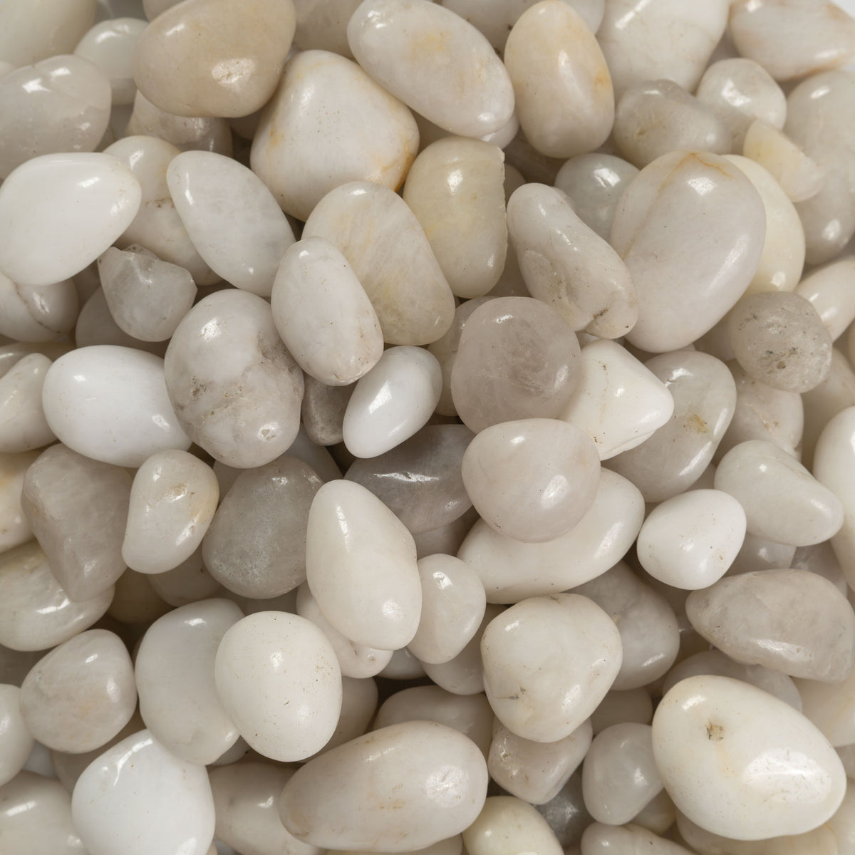 White Landscape Pebbles - product detail (representative)