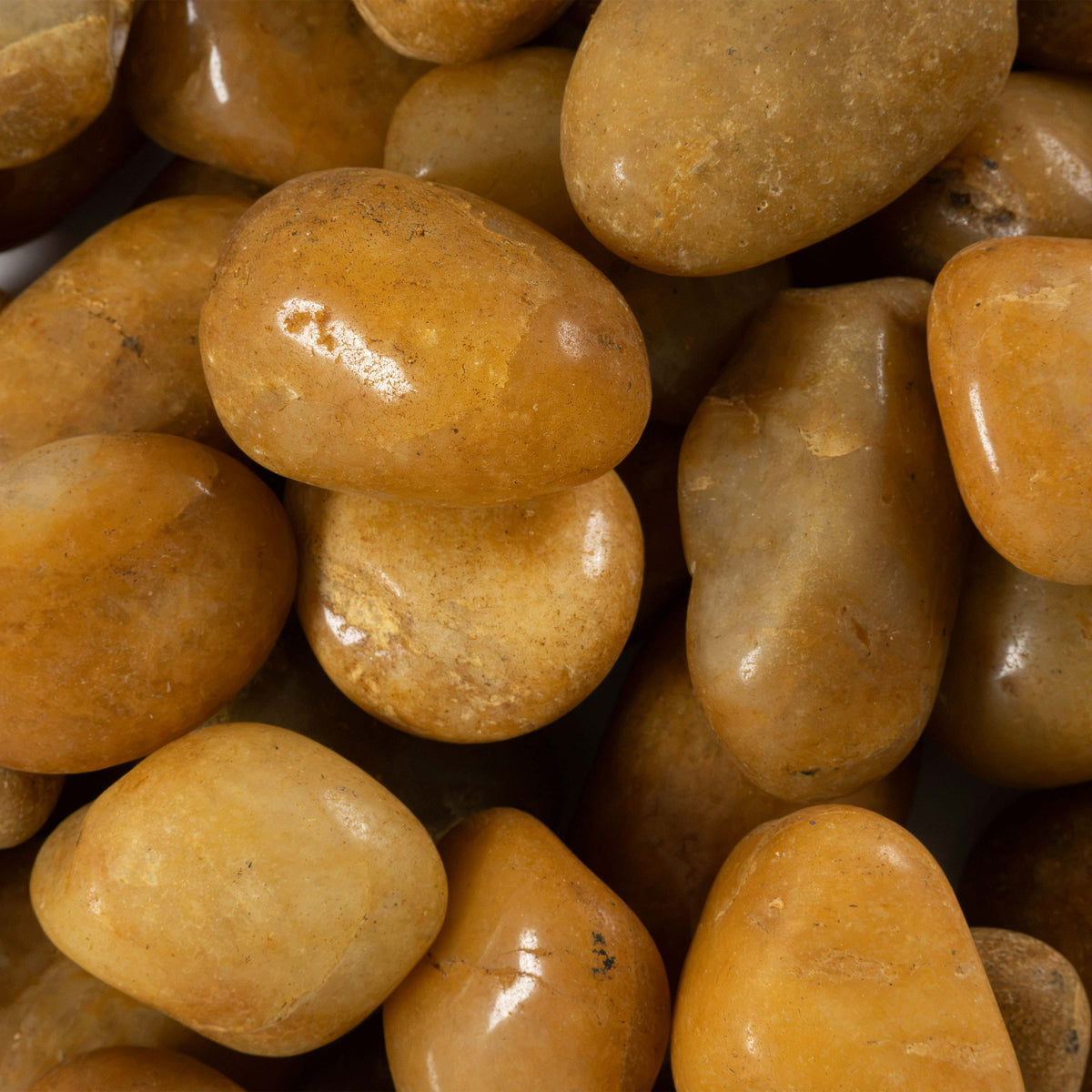 Yellow Landscape Pebbles - iso (representative)
