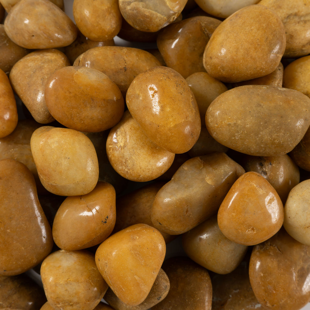 Yellow Landscape Pebbles - product detail (representative)